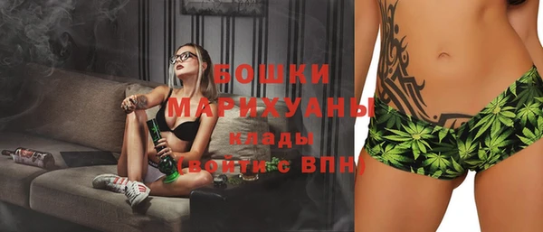 ECSTASY Богородицк