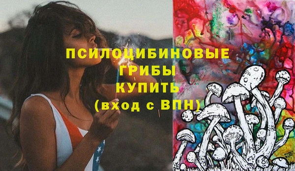 амф Богородск