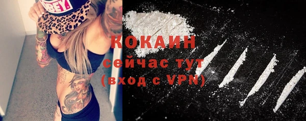 ECSTASY Богородицк