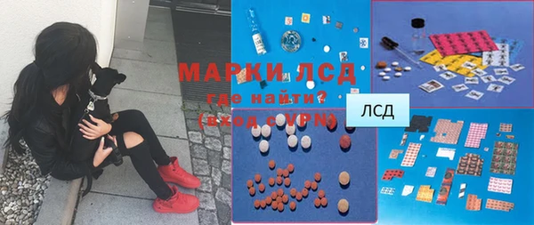 ECSTASY Богородицк