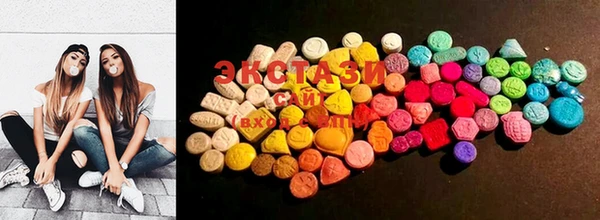 ECSTASY Богородицк