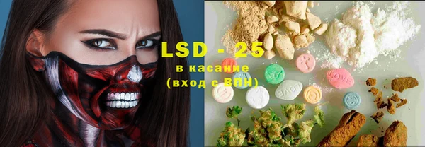 ECSTASY Богородицк