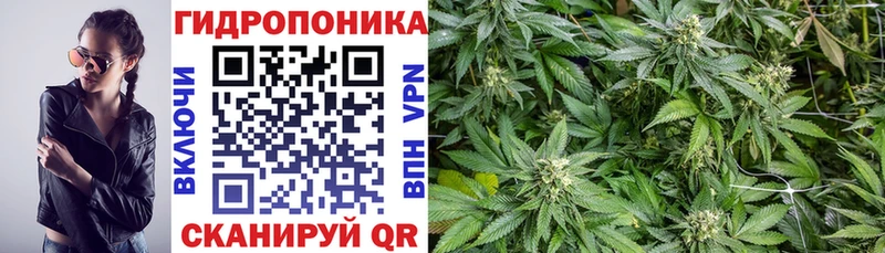 МАРИХУАНА тримм  сайты даркнета наркотические препараты  Дюртюли 